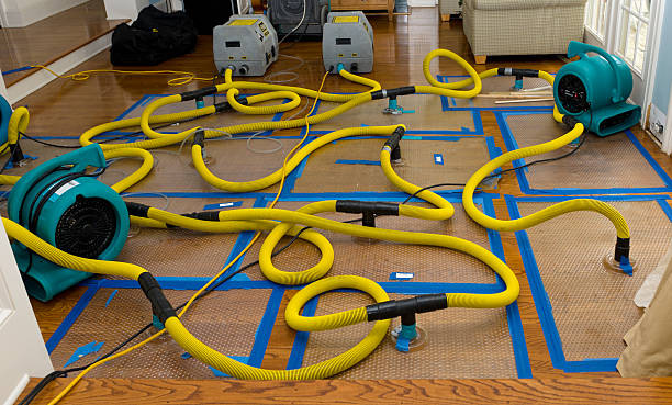Professional Basement Flood Cleanup technician working in Amherst, MA